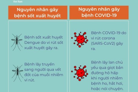 Đã có hơn 211.000 ca mắc sốt xuất huyết, cách phân biệt để tránh nhầm với COVID-19