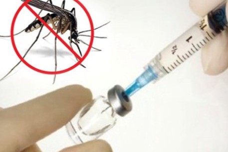 Những điều cần biết về bệnh Sốt xuất huyết Dengue và vắc xin phòng bệnh