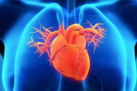 Hưởng ứng Ngày tim mạch Thế giới 29/9/2025: Đừng bỏ lỡ nhịp nào