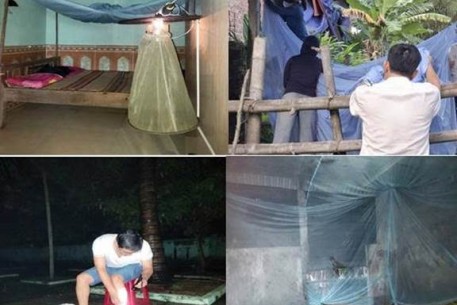 Tăng cường giám sát muỗi Culex – Véc tơ truyền bệnh Viêm não Nhật Bản tại Đà Nẵng