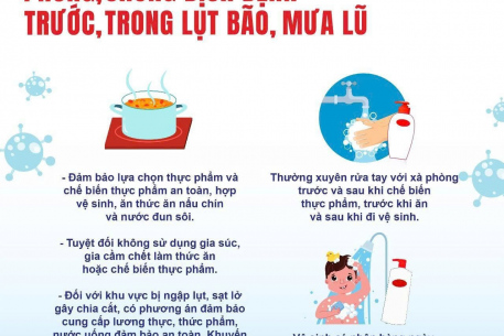 Vệ sinh môi trường sau lũ lụt để phòng chống dịch bệnh