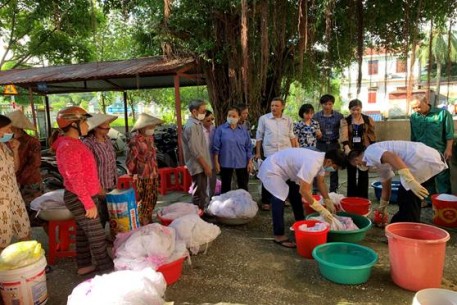 Đà Nẵng: kiên trì giữ vững thành quả loại trừ sốt rét