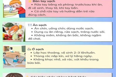 Đà Nẵng đồi phó với dịch tay chân miệng tăng đột biến