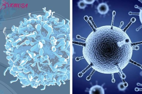 Triệu chứng Cúm A và cách phòng ngừa cúm cho cả gia đình