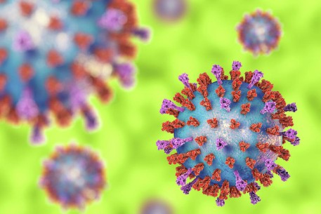 Làm gì để phòng lây nhiễm virus hợp bào hô hấp (RSV)?