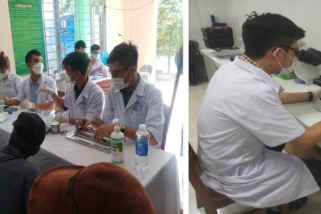 Giám sát và phòng chống bệnh sốt rét quay trở lại sau loại trừ  tại thành phố Đà Nẵng năm 2023
