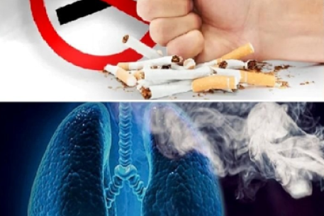 Vạch trần sự hấp dẫn giả tạo