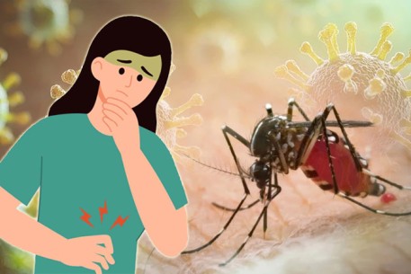 Sau hơn 70 năm, Chikungunya quay trở lại mạnh mẽ - Chúng ta cần làm gì?