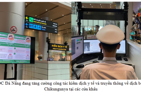 Đà Nẵng sẵn sàng ứng phó trước nguy cơ dịch Chikungunya lan rộng tại nhiều quốc gia