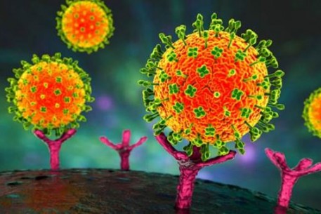 Việt Nam chưa ghi nhận trường hợp mắc bệnh do vi rút Nipah