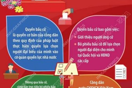 Tham gia bầu cử là quyền lợi, nghĩa vụ của mỗi công dân
