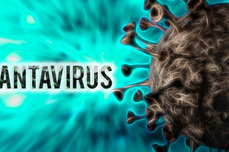 Virus Hanta: Việt Nam chưa ghi nhận ca bệnh, cần phòng ngừa ra sao?
