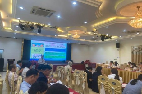 Hội thảo chia sẻ kinh nghiệm triển khai các hoạt động thuộc Dự án Thành phố thân thiện với trẻ em trong trường học trên địa bàn thành phố Đà Nẵng
