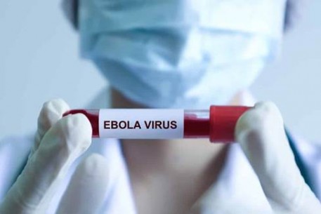Bộ Y tế khuyến cáo người dân chủ động phòng bệnh Ebola sau cảnh báo của WHO