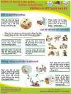 Infographich: Phòng chống dịch bệnh sốt xuất huyết