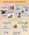 Infographich: cảnh báo bệnh dại