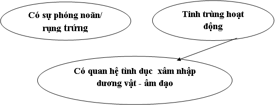 Dấu hiệu nhận biết có thai