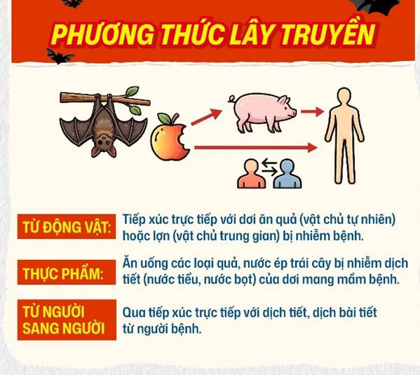 dự phòng bệnh do virus Nipah