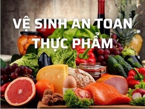 Phụ trách cơ sở sản xuất thực phẩm bảo vệ sức khoẻ (BVSK) phải có trình độ đại học trở lên