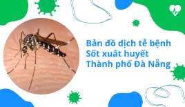 Bản đồ dịch tễ bệnh sốt xuất huyết