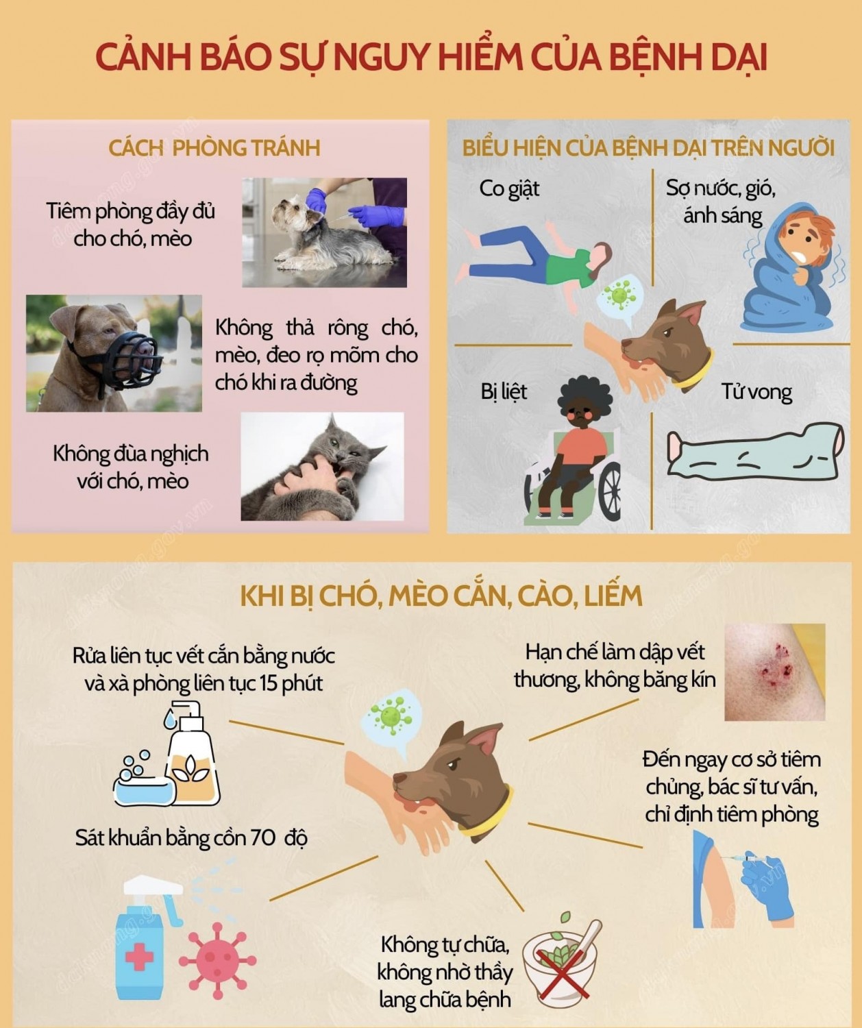 Infographich: cảnh báo bệnh dại