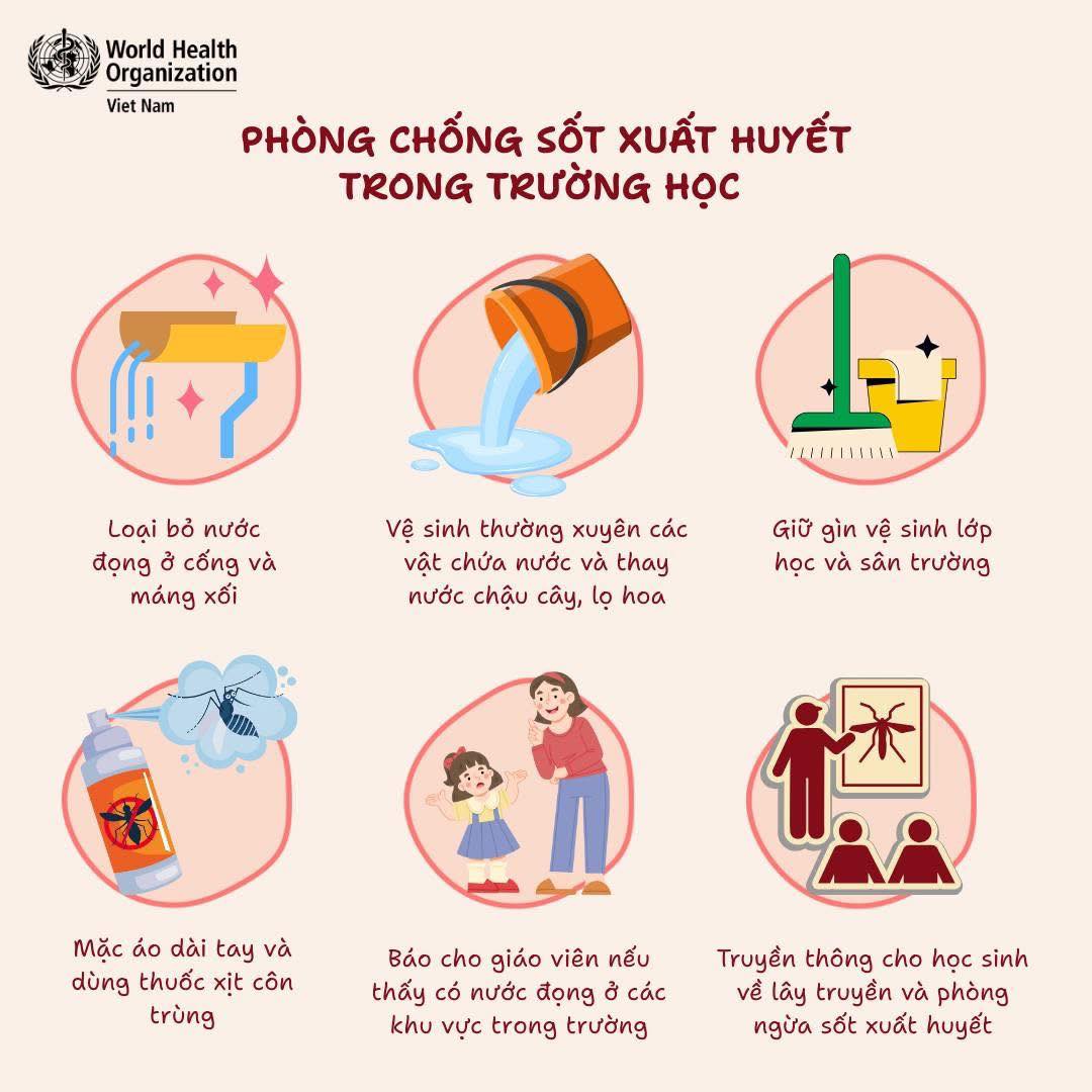 Nhà trường, phụ huynh và học sinh đều có thể góp phần giảm thiểu nguy cơ lây nhiễm sốt xuất huyết trong trường học. Hãy tham khảo các khuyến cáo của chúng tôi dưới đây để giữ trường học an toàn khỏi muỗi và bệnh #sốt_xuất_huyết nhé!